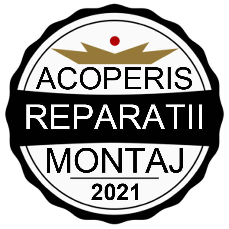 Reparatii Acoperisuri